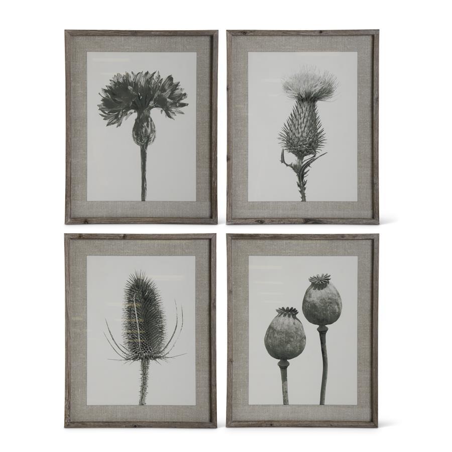 4 Assorted 27.5-Inch Wood-Framed Black, Gray &amp; White Floral Stem Print