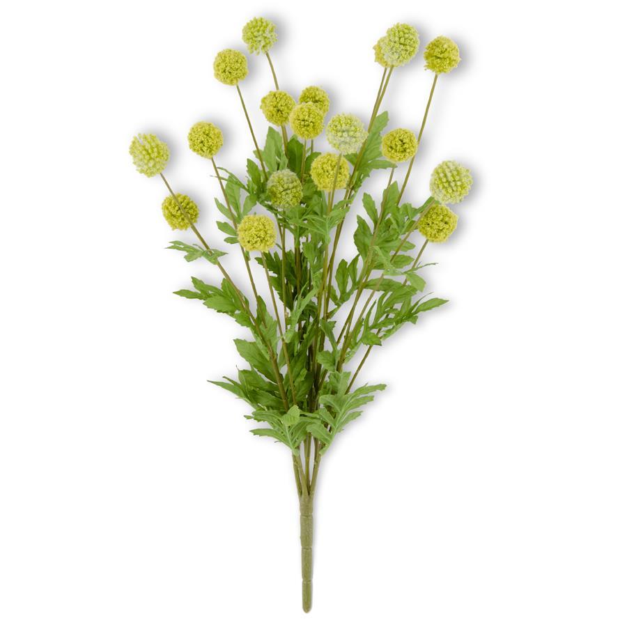 22-Inch Green Mini Allium Bush with Foliage (18 Balls)