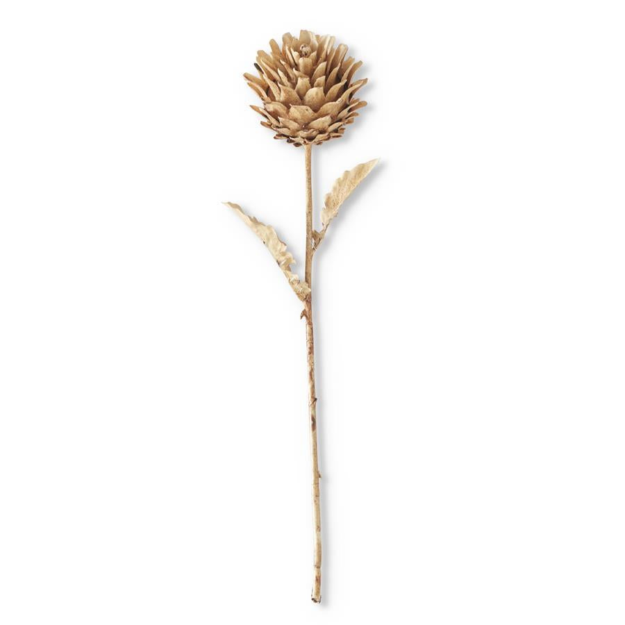 16-Inch Brown Artichoke Stem