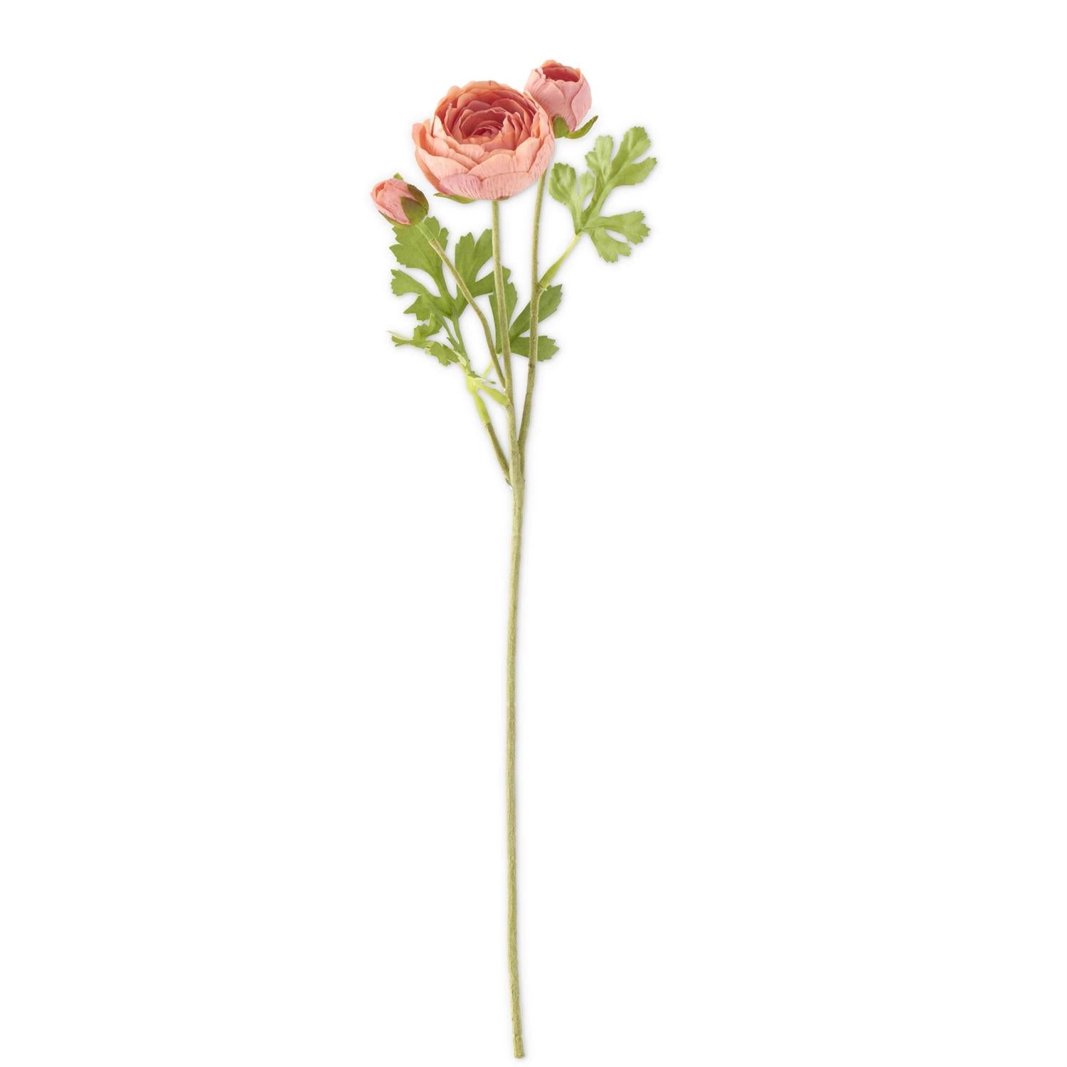 21-Inch Coral Real Touch 3-Head Ranunculus Stem