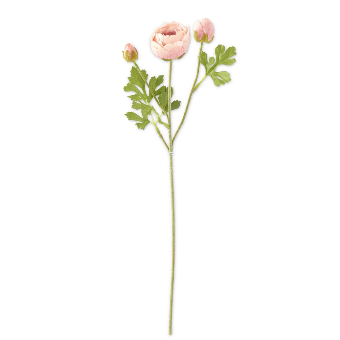 21-Inch Light Pink Real Touch 3-Head Ranunculus Stem