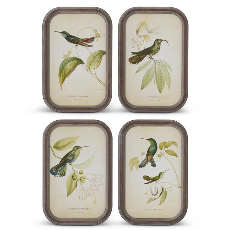 Assorted Rounded 17.75in Rounded Wood Framed Bird Print