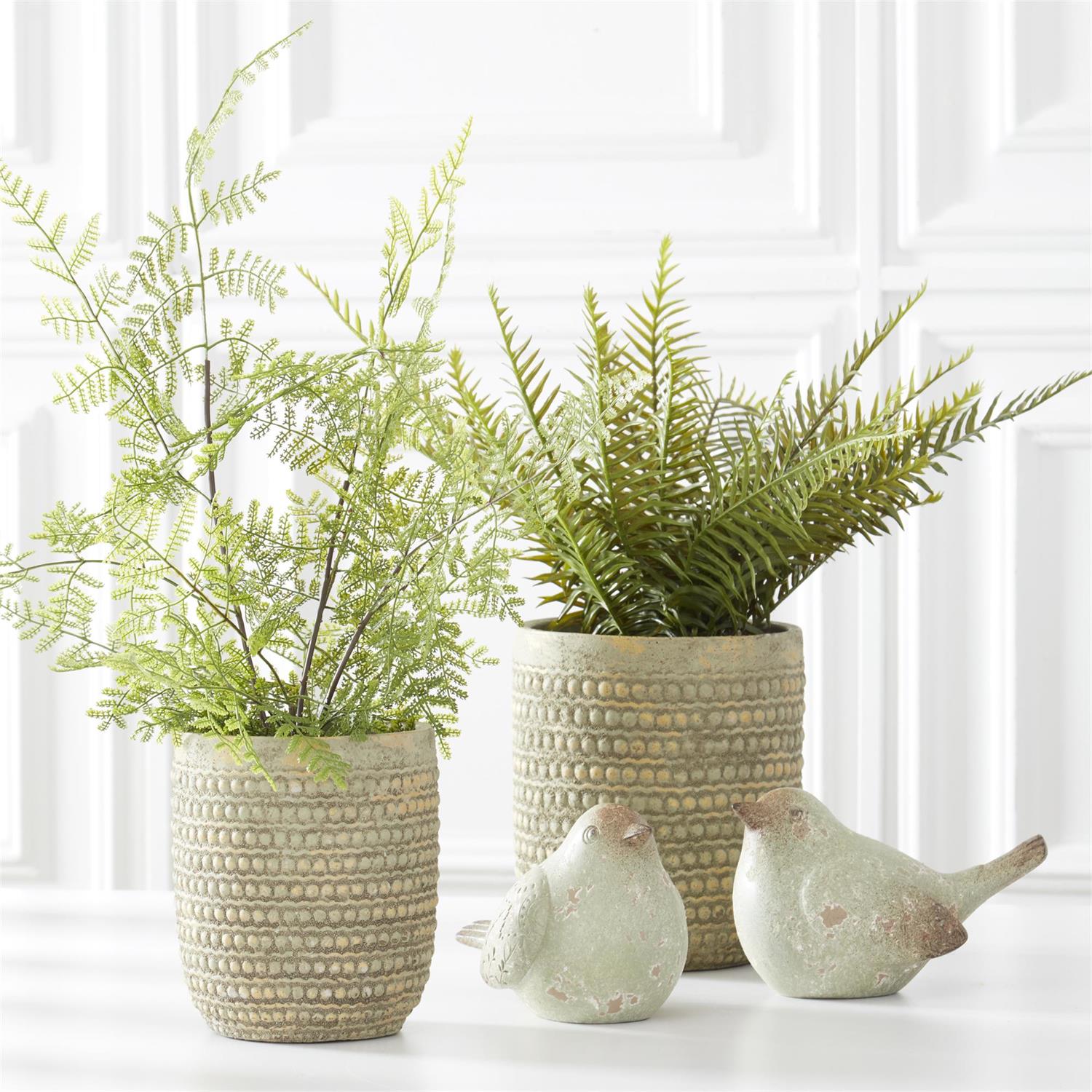21-Inch Fern in Ceramic Pot