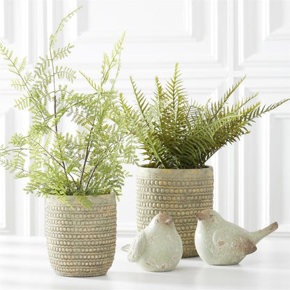 21-Inch Fern in Ceramic Pot