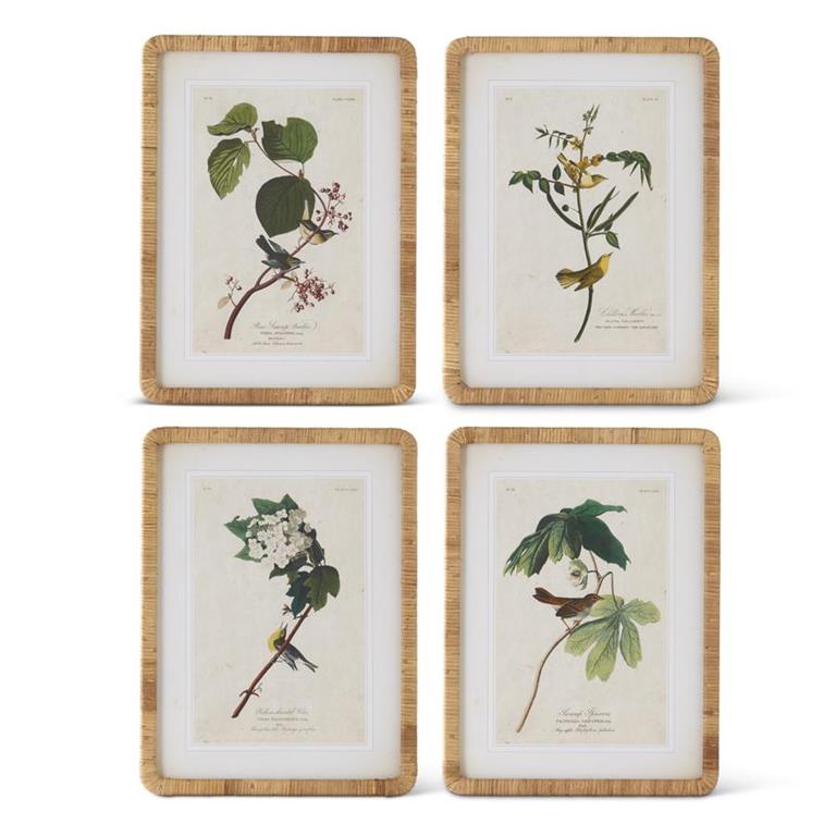 Assorted 23.25-Inch Rattan-Framed Bird/Botanical Prints (4 Styles)