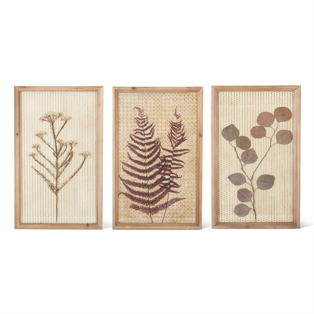Assorted 23.5-Inch Dried Bud Stem Framed Wall Art (3 Styles)