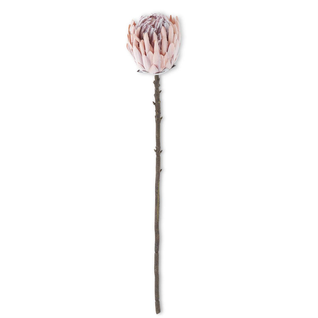 26-Inch Flocked Pink King Protea Stem