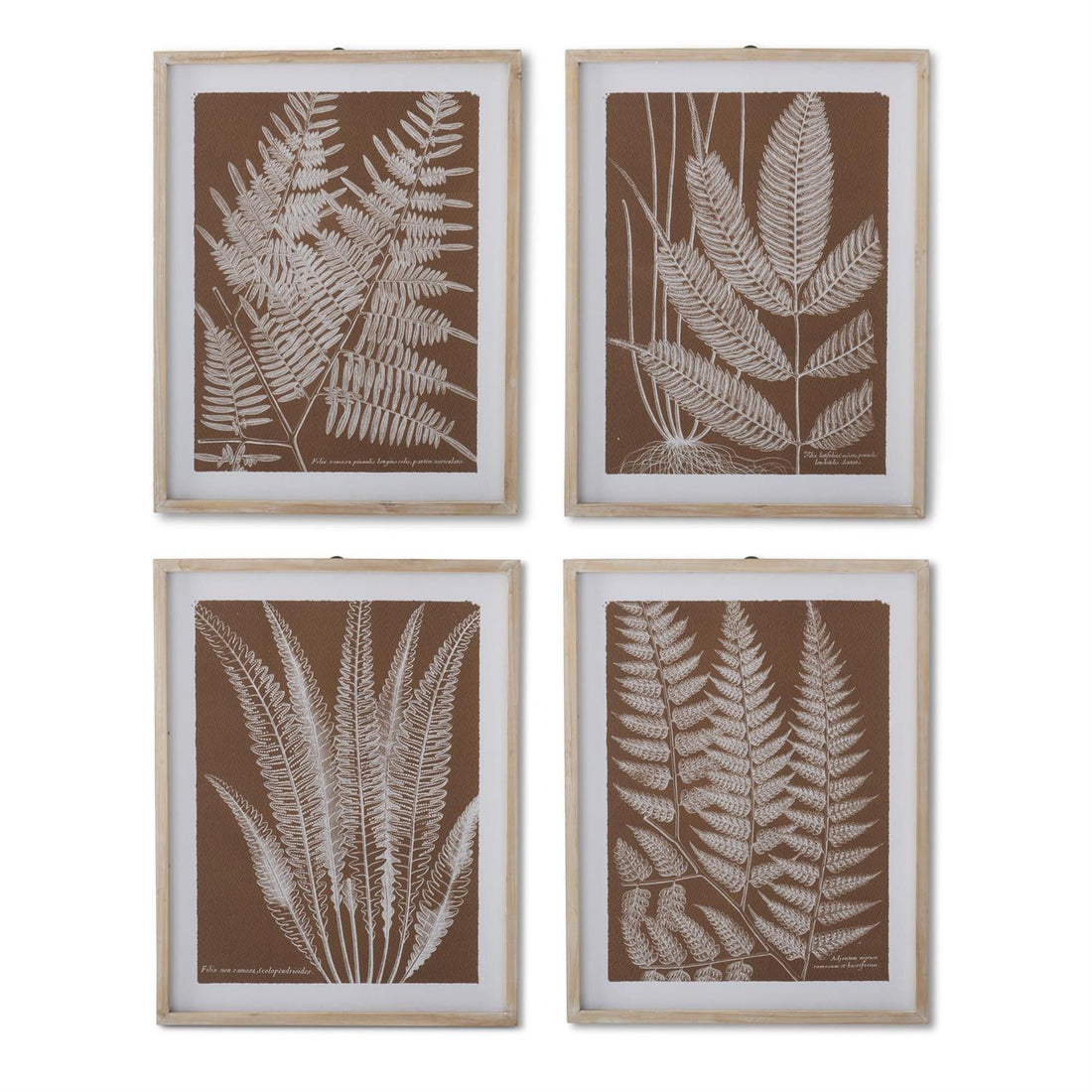 Assorted 27.75-Inch Natural Wood-Framed Brown &amp; White Fern Prints (4 Styles)