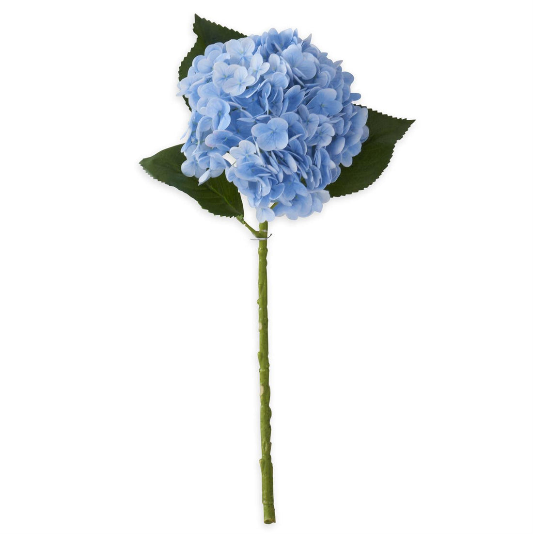 Blue Hydrangea 20 in stem