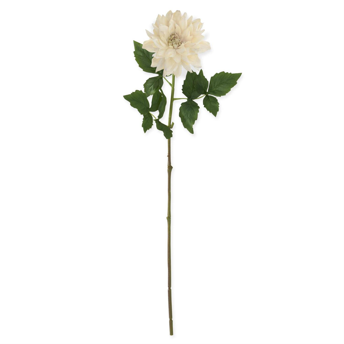 29-Inch Cream Real Touch Dahlia