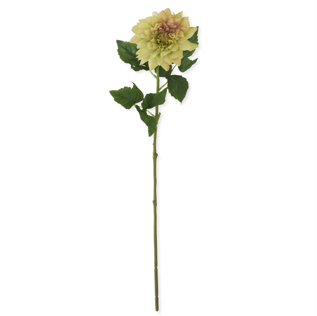 29-Inch Light Green with Pink Real Touch Dahlia Stem