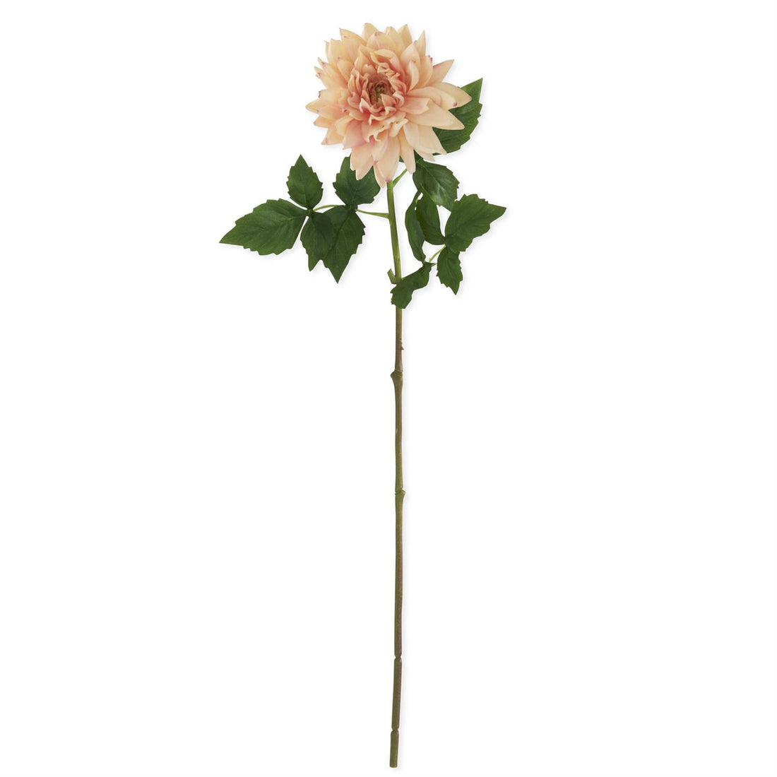 29-Inch Peach Real Touch Dahlia Stem