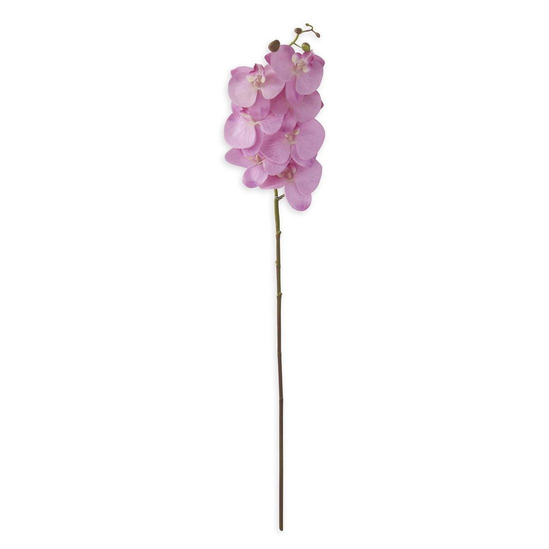 34.5&quot; Purple Orchid Stem