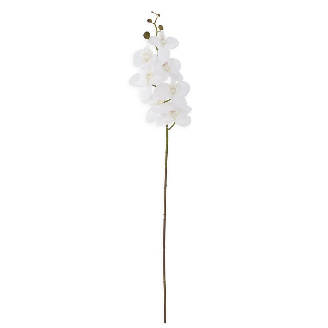 34.5&quot; White Orchid Stem