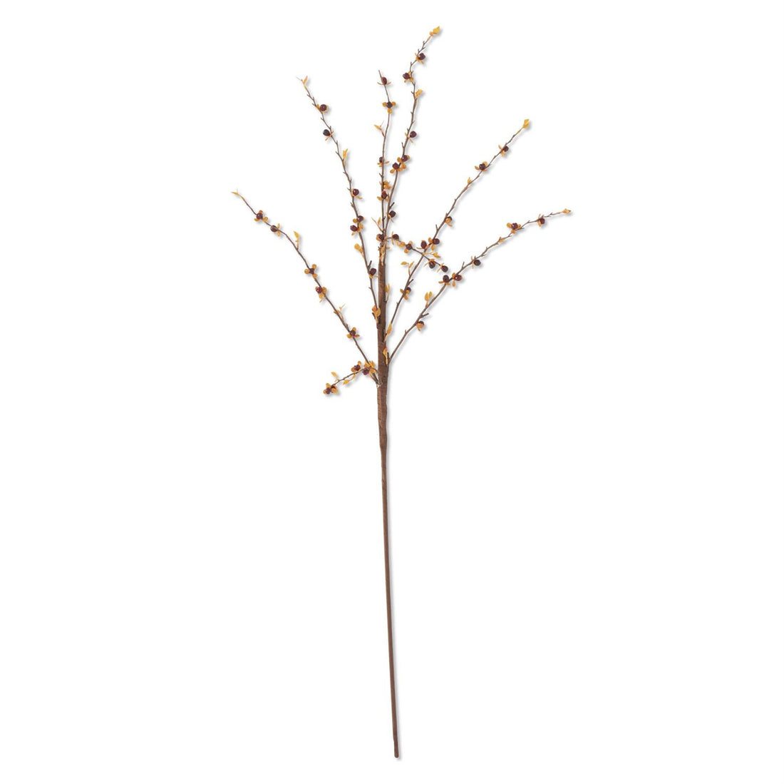 35 Inch Dark Orange Bittersweet Stem