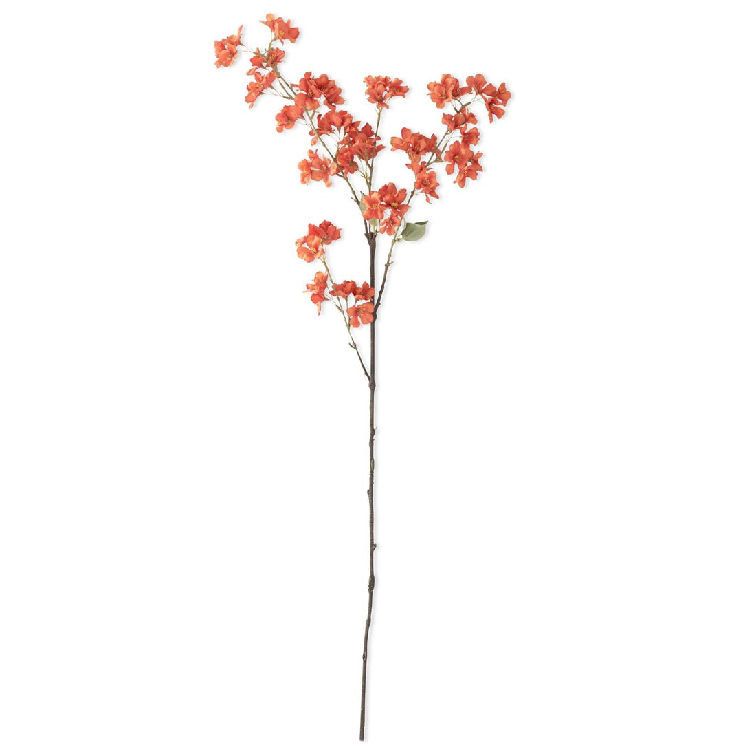 42-Inch Orange Cherry Blossom