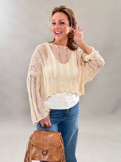 Crew Neck Long Sleeve Open Knit Crochet Top