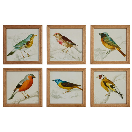 9&quot; Bird on Branch Framed Print