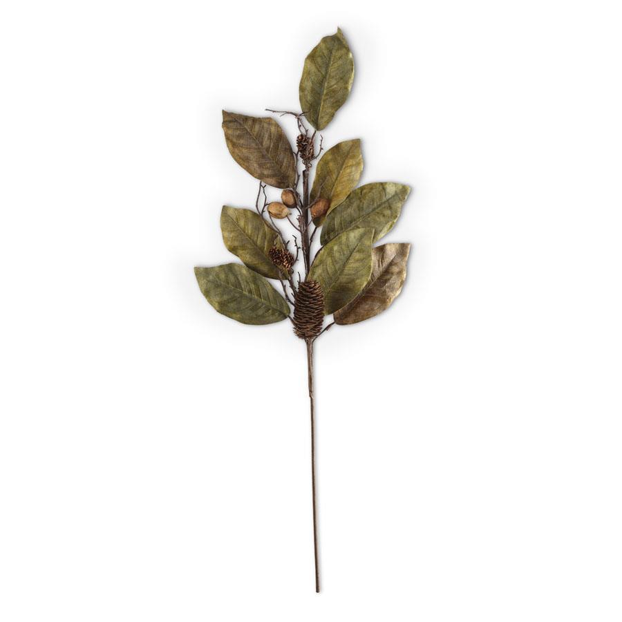 32 Inch Magnolia Pinecone and Nut Stem