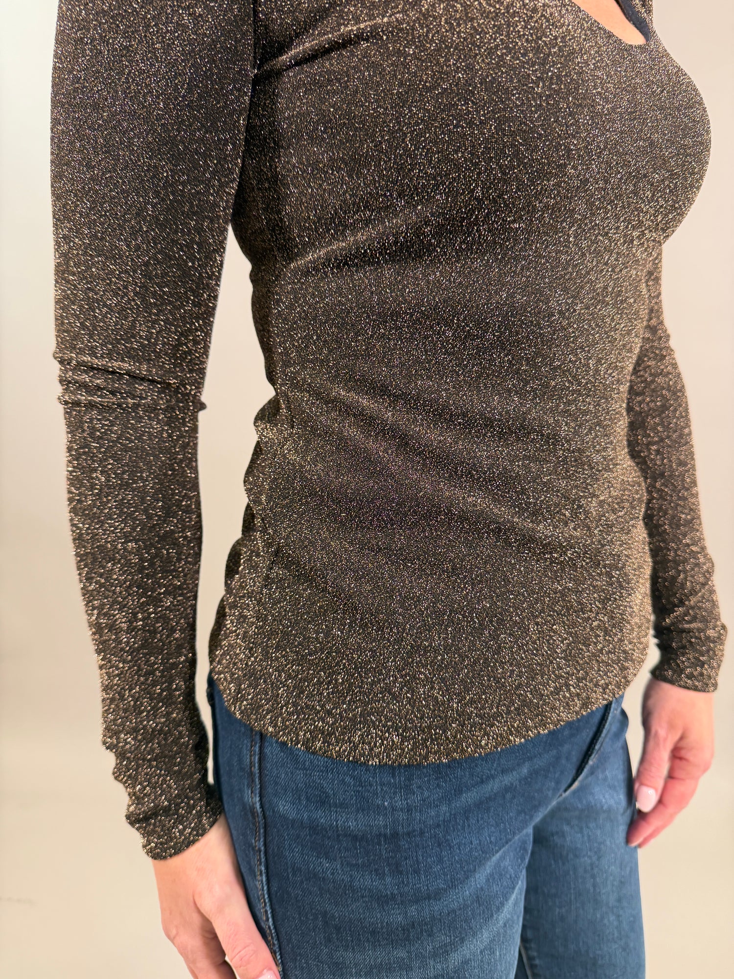 Whitney Metallic V Neck Top