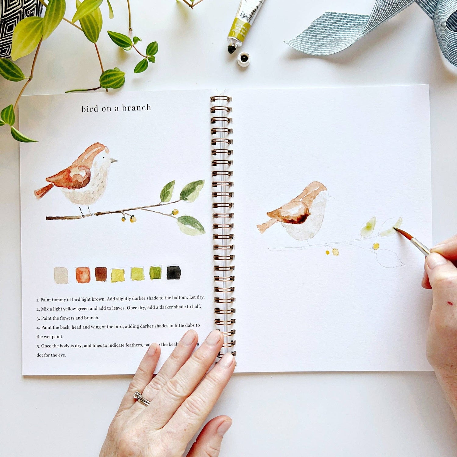 Animal Watercolor Workbook
