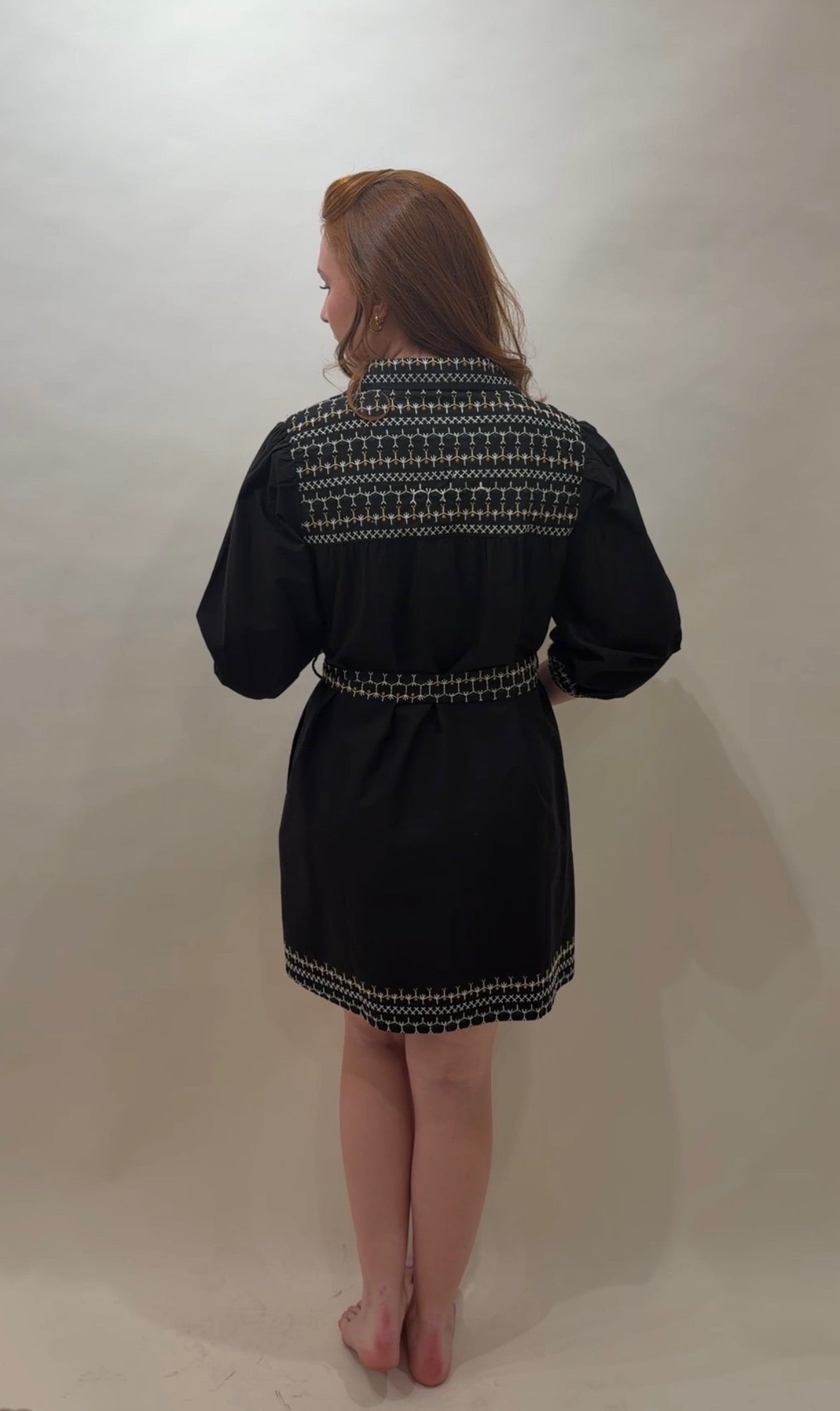 Embroidered Puff-Sleeve Minidress