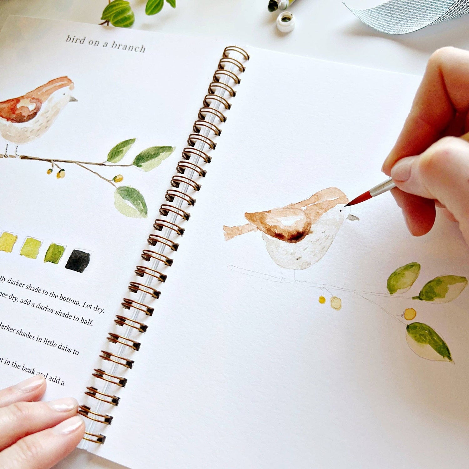 Animal Watercolor Workbook
