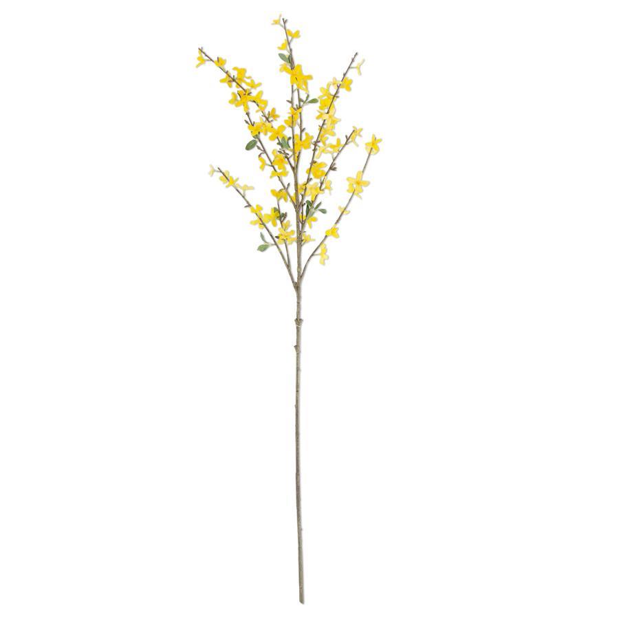 44&quot; Forsythia Stem