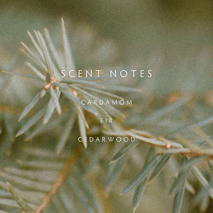 Cedar Cardamom Reed Diffuser Kit