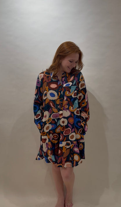 Uncle Frank Abstract Print Shirtdress