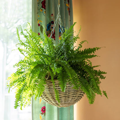 Rattan Hanging Planter Large