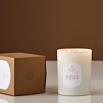 Harvest Pumpkin 2-wick Candle