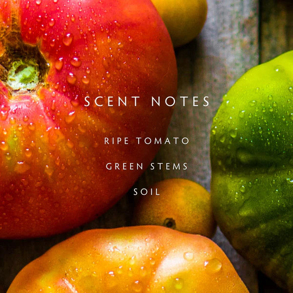 Heirloom Tomato Large 2-wick Candle