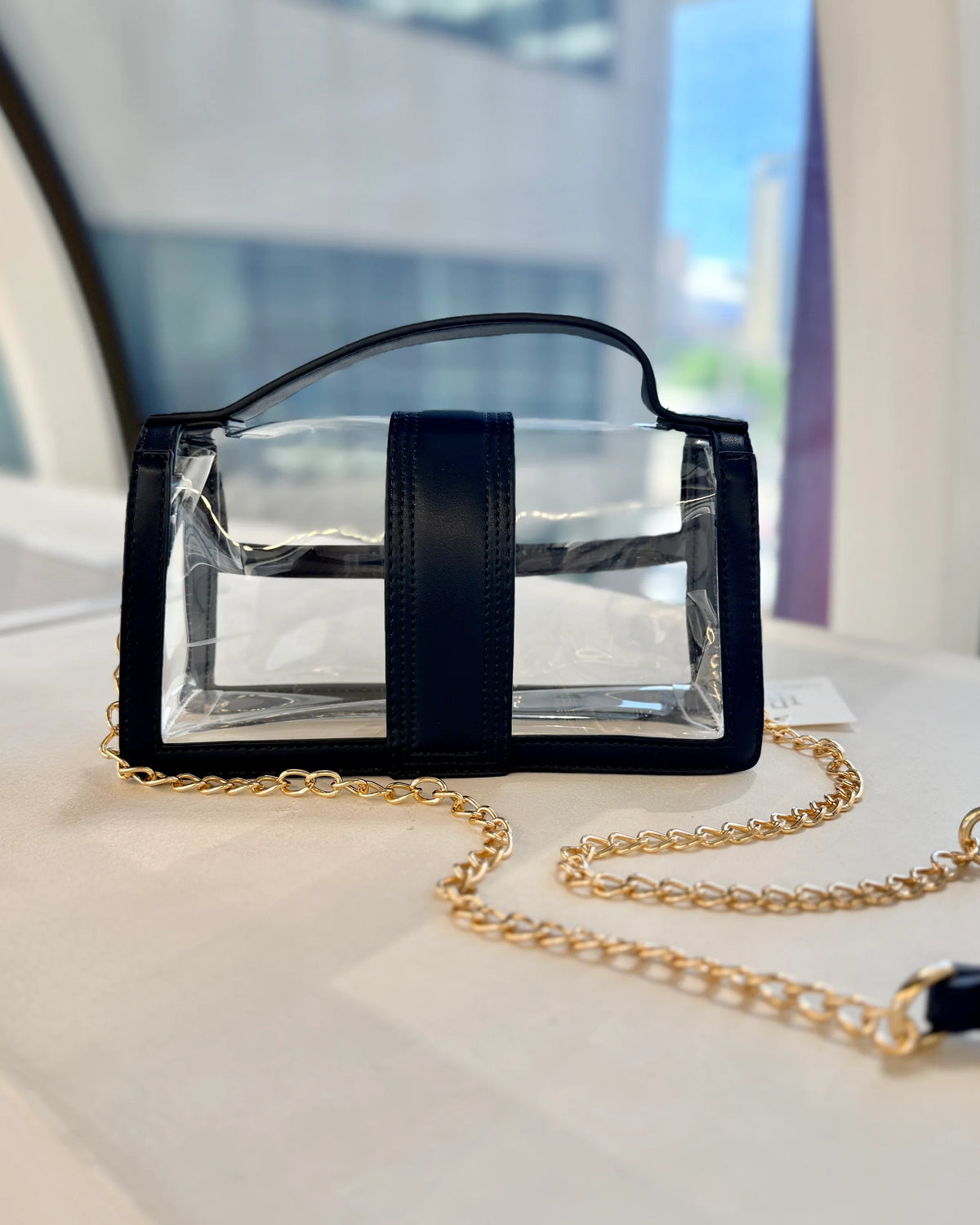 Leather Clear Bag