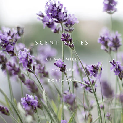 Lavender Rosemary Reed Diffuser Kit
