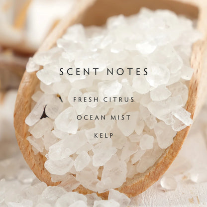Sea Salt Large 2-wick Candle