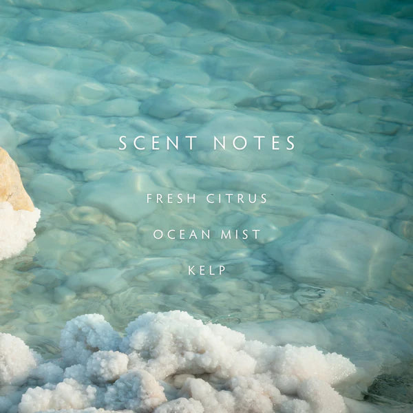 Sea Salt Reed Diffuser Kit