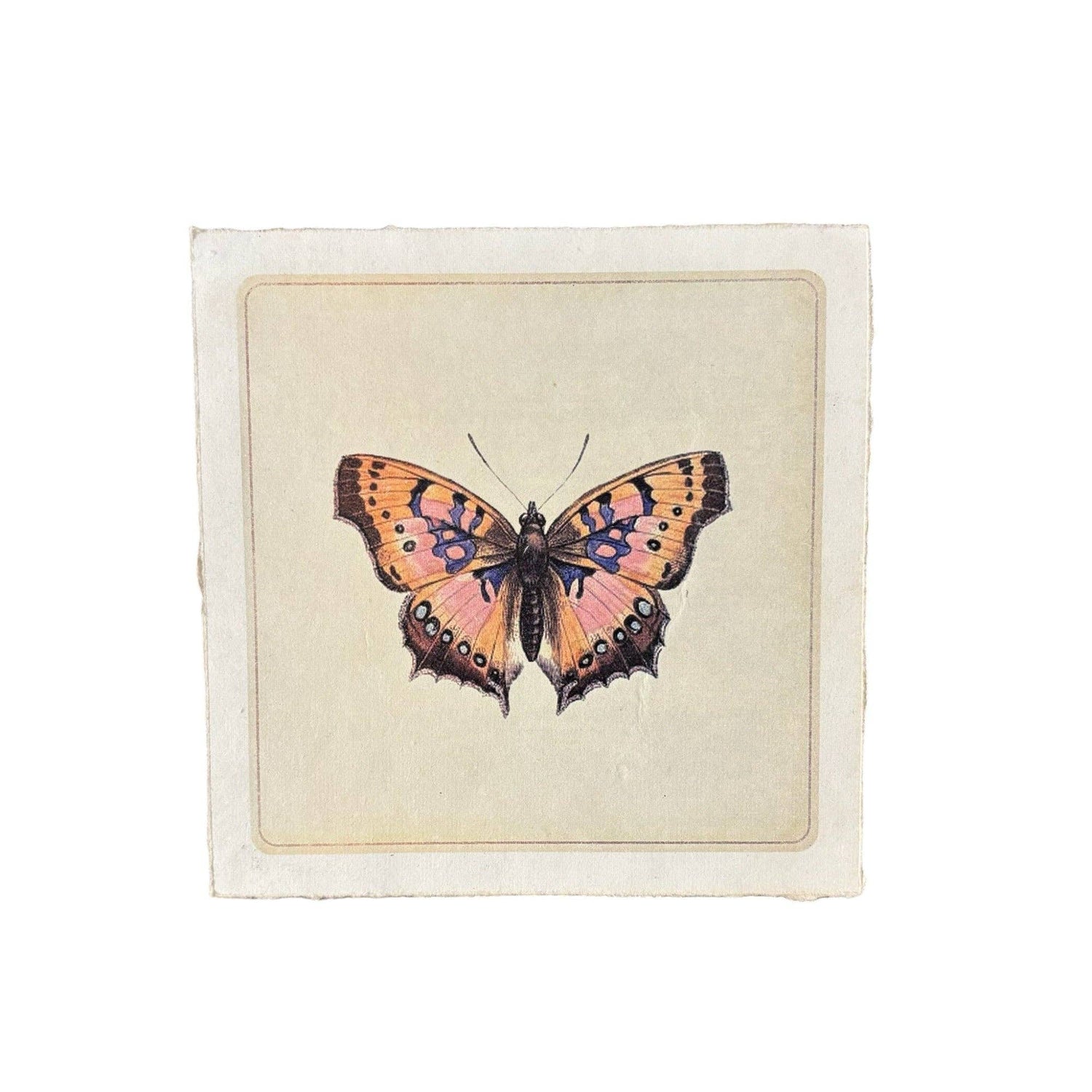 8&quot;x8&quot; Pink Butterfly - Flora &amp; Fauna Collection