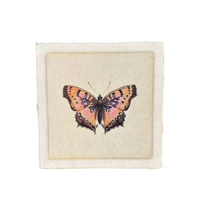8&quot;x8&quot; Pink Butterfly - Flora &amp; Fauna Collection