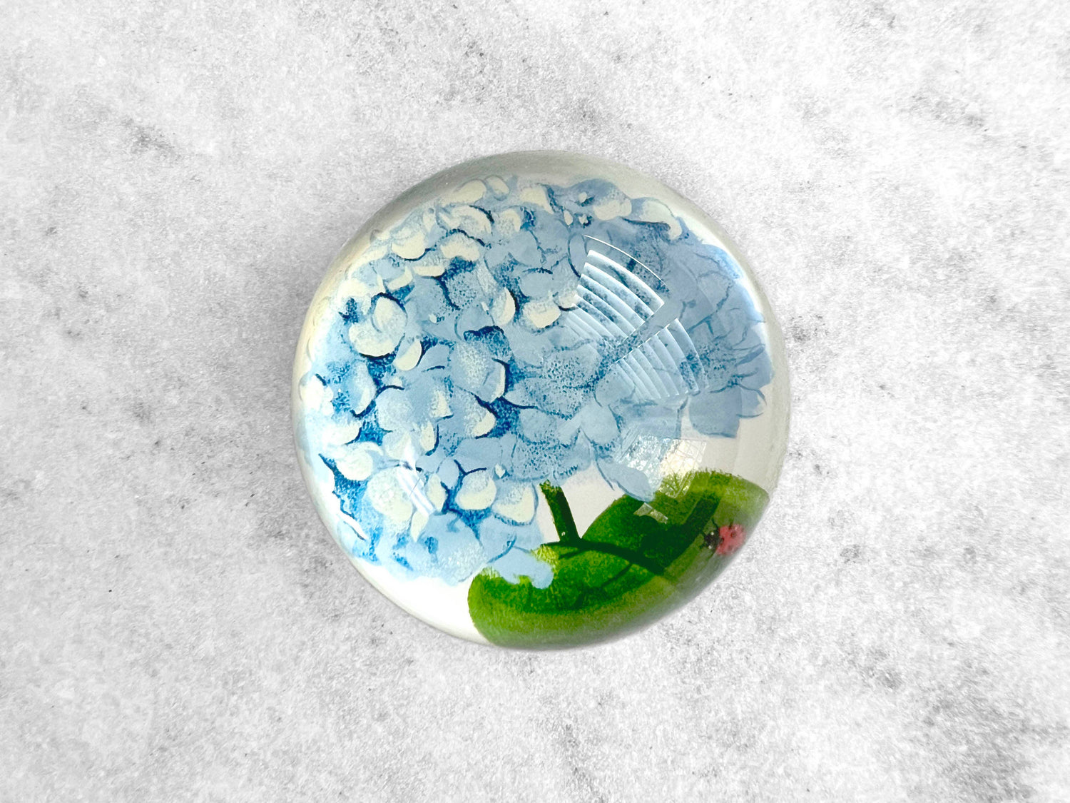 Glass Dome Paperweight