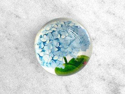 Glass Dome Paperweight