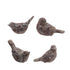 Bird with Distressed Finish, 4 Styles