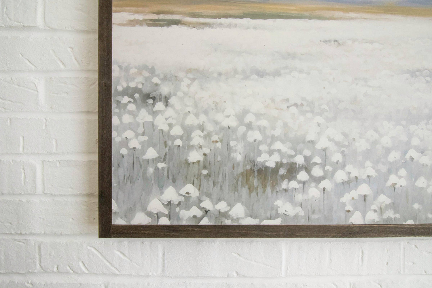 Cotton Fields