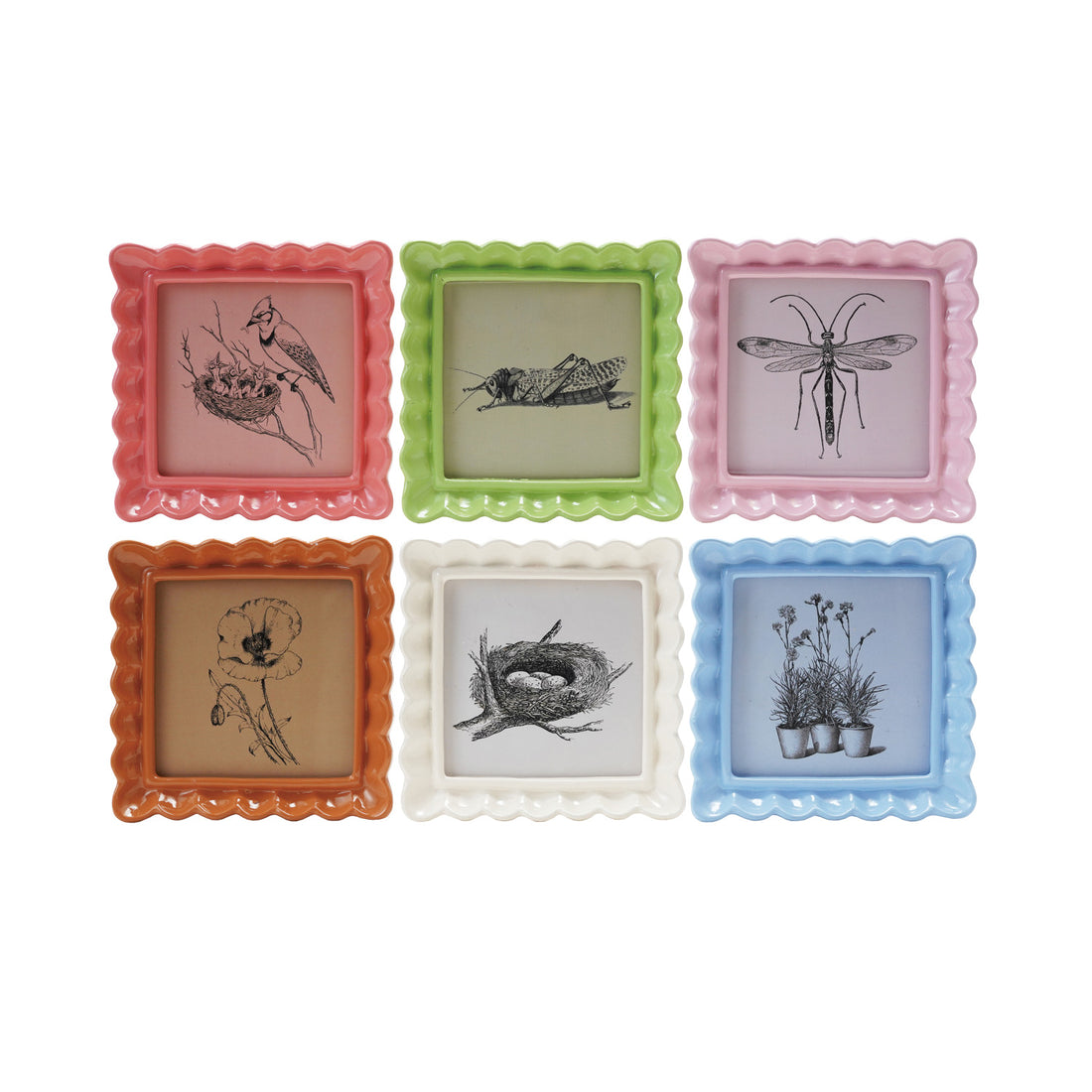Resin Ruffled Photo Frame, 6 Colors (Holds 4&quot; x 4&quot; Photo)
