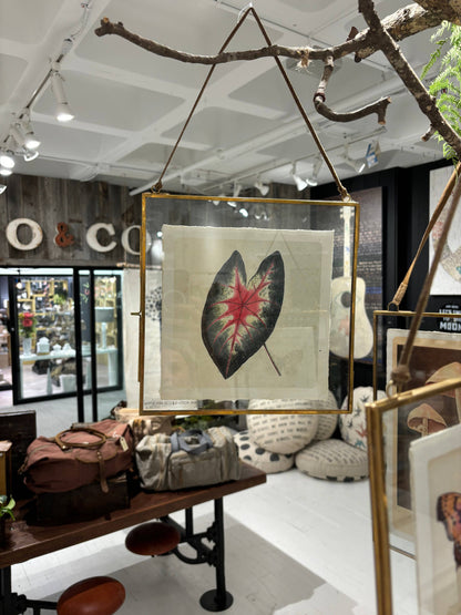 Glass and Brass Metal Wall Hanging Picture Frame with Brown Suede