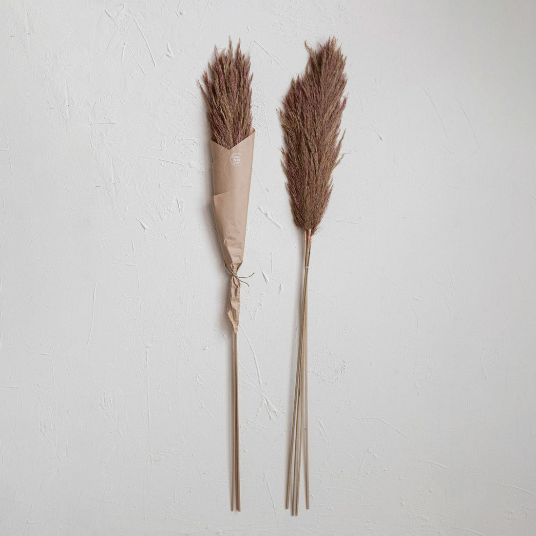 Dried Natural Velvet Grass Bunch