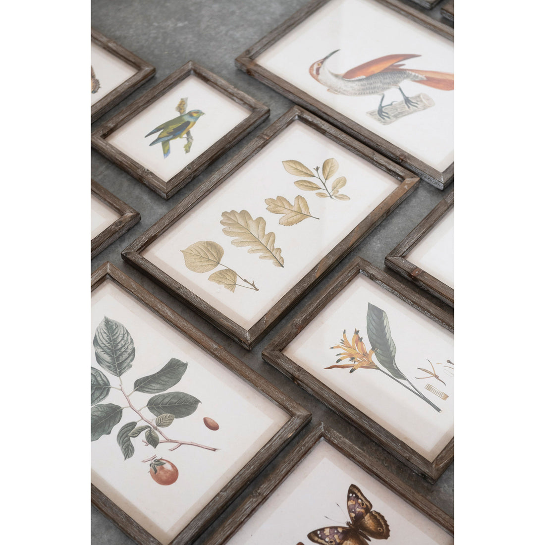 Wooden Framed Assortment Prints