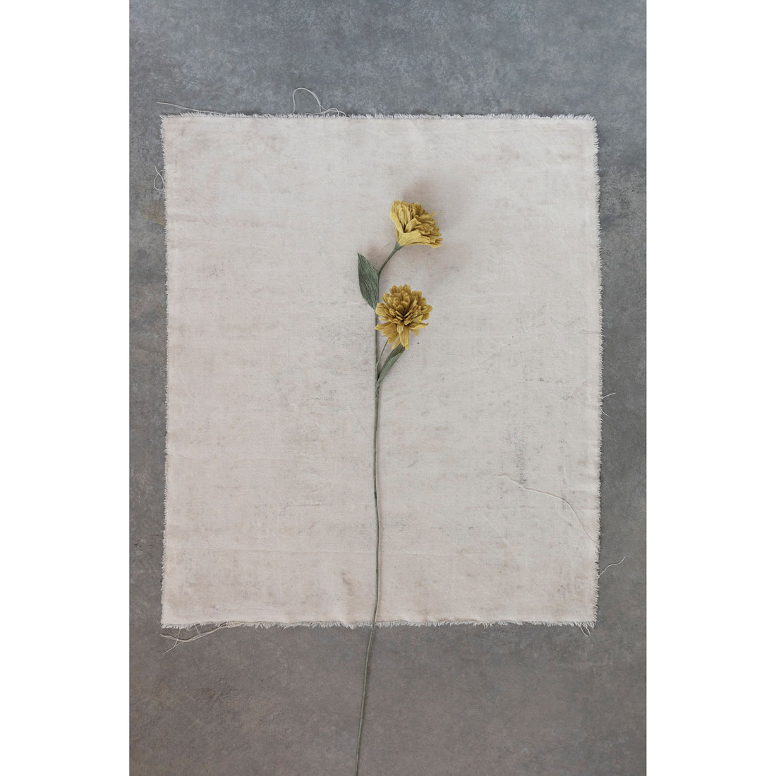 Paper Flowers