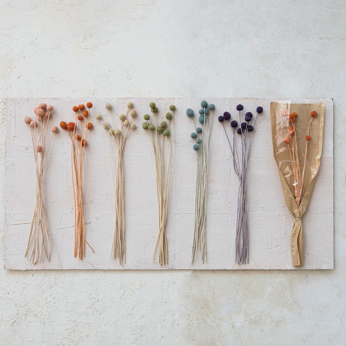 Dried Natural Craspedia Bunch