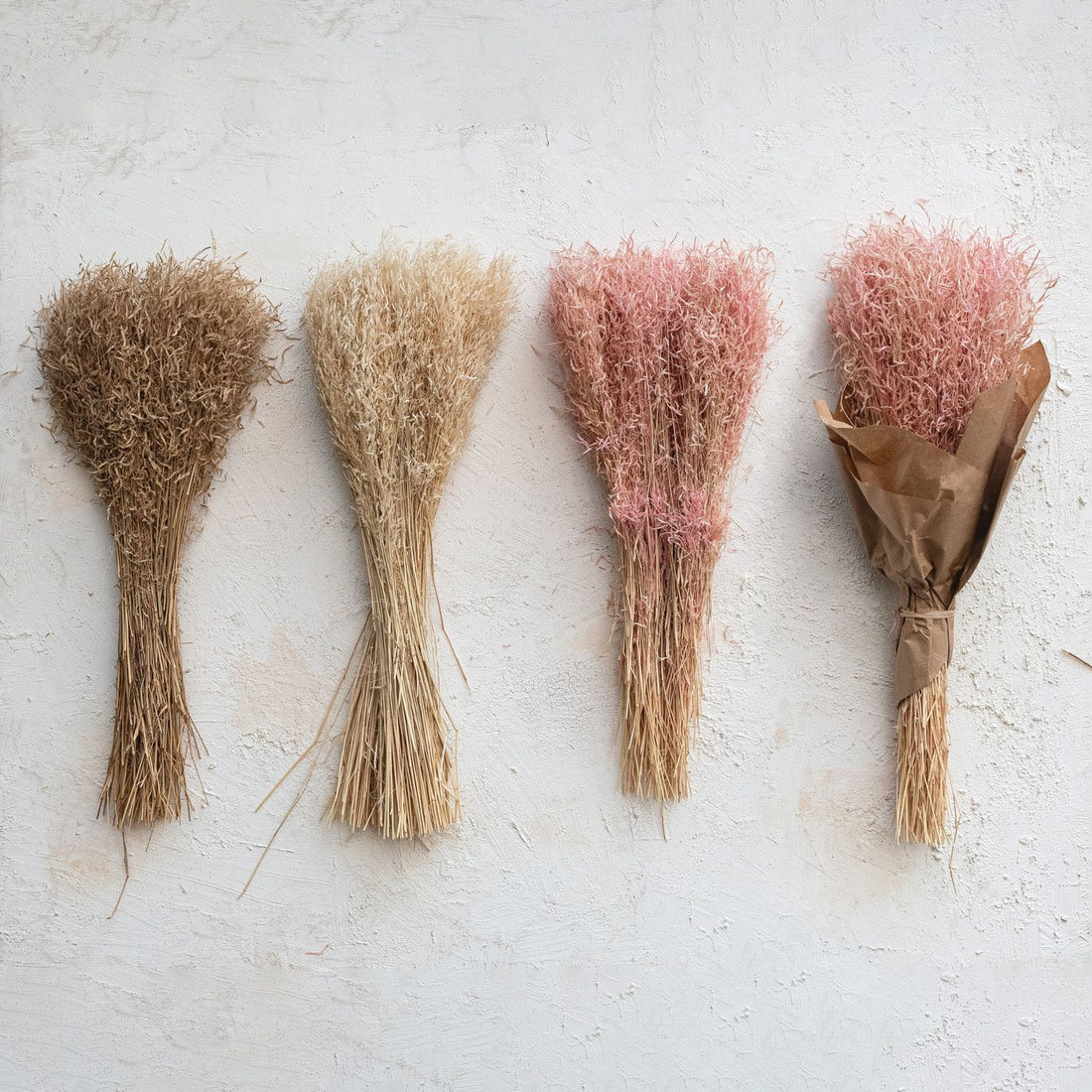 Dried Mimosa Grass Bunch